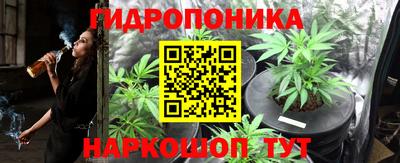 mdpv Можга