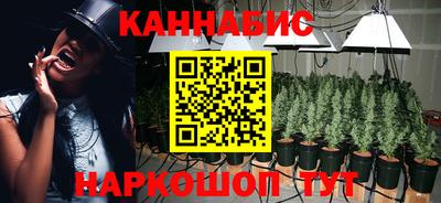 индика Можайск