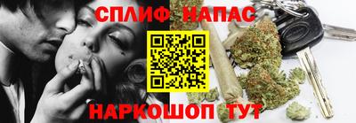 индика Можайск
