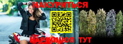 индика Можайск