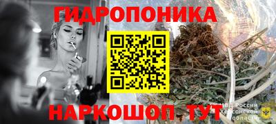 mdpv Можга