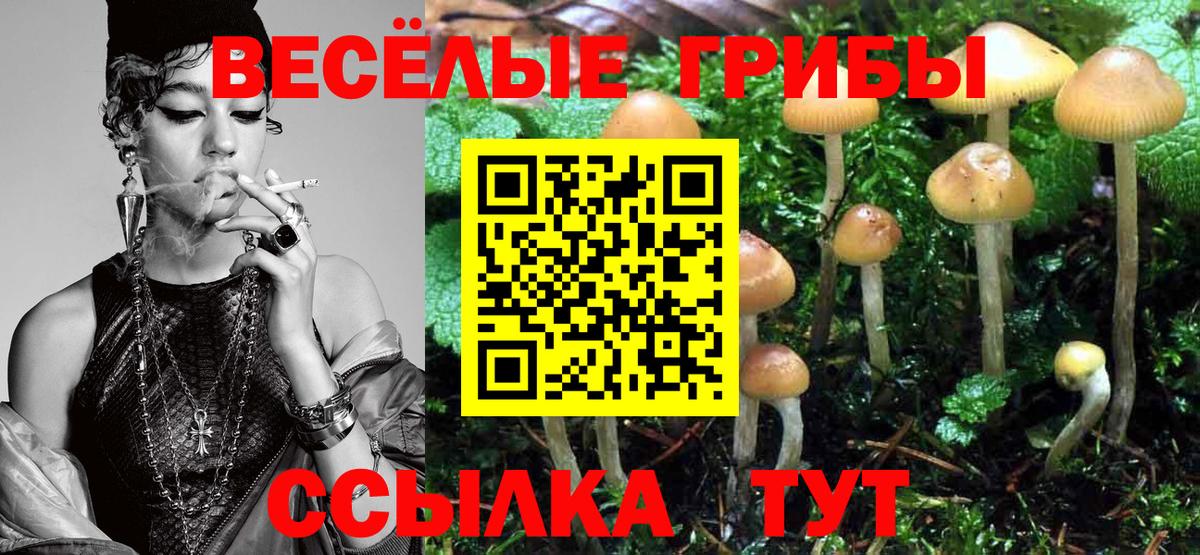 Шадринск  Псилоцибиновые грибы мицелий  купить наркоту  Галлюциногенные грибы GOLDEN TEACHER  Вход с VPN 